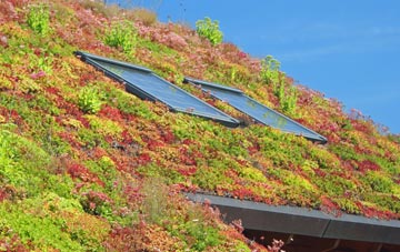 Magheramason living roof systems