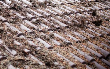 Magheramason roof cleaning companies