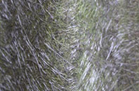 Magheramason fibreglass roof work